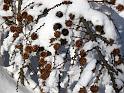 2010-01-31, Altenberg (10)
